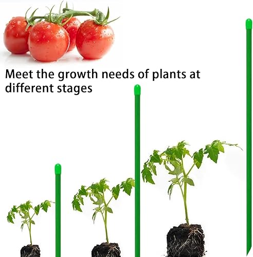 Miniatura 6 de Estacas de jardín de fibra de vidrio de 5 pies, estacas de tomate, estacas para plantas (paquete de 30), satisface las necesidades de crecimiento de