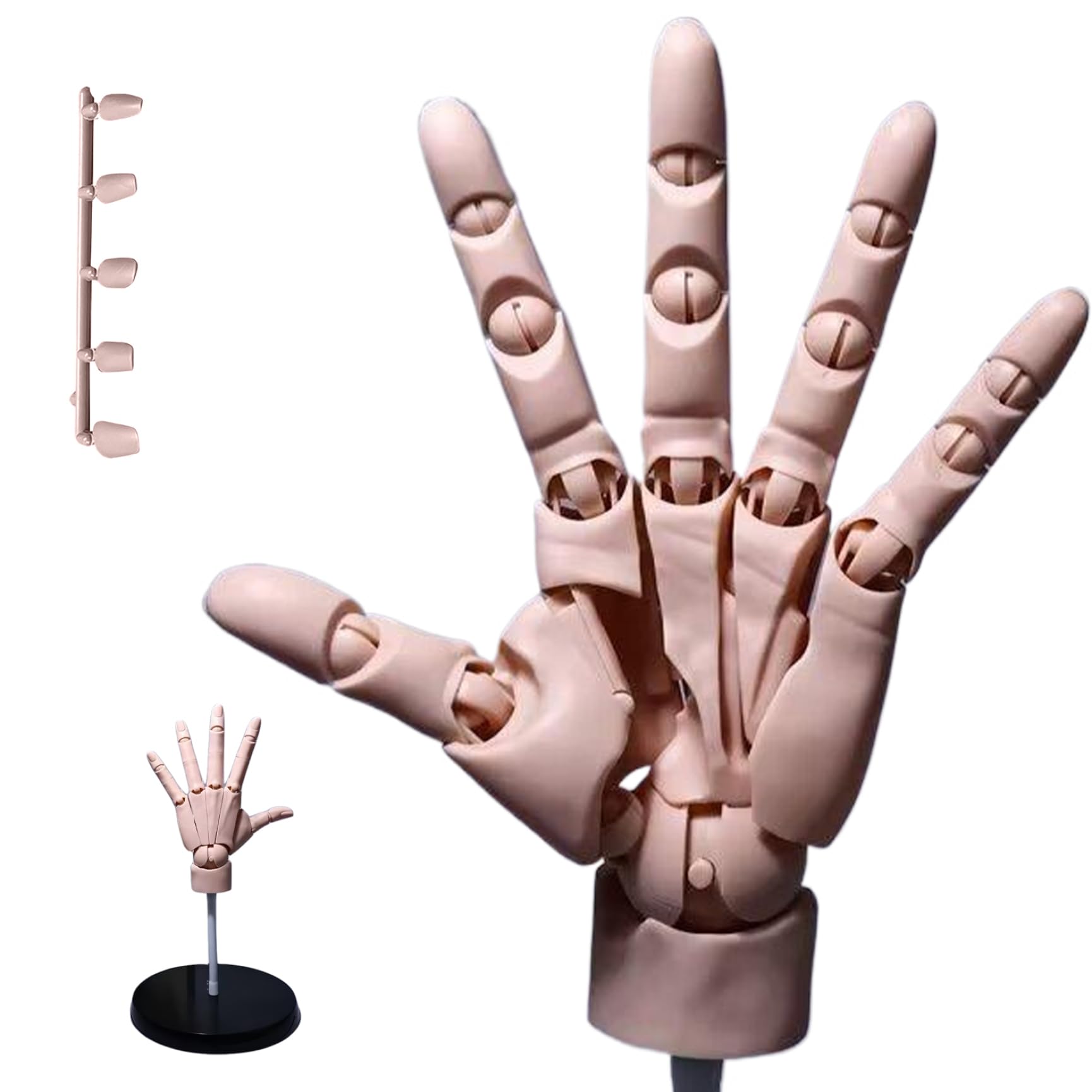 Mannequin articulé mobile de main 1:1 pour dessin peinture et croquis