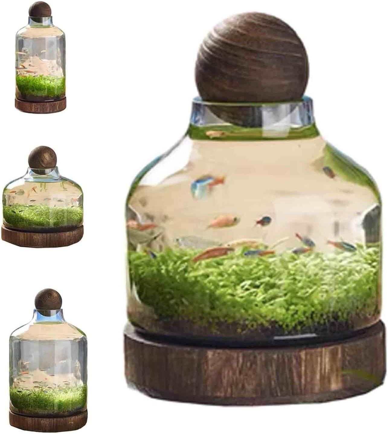 Micro Ecological Landscape Aquarium Fish Tank Self-circulating Plant Vase Glass Clear Desktop Planter Jars(S, A)