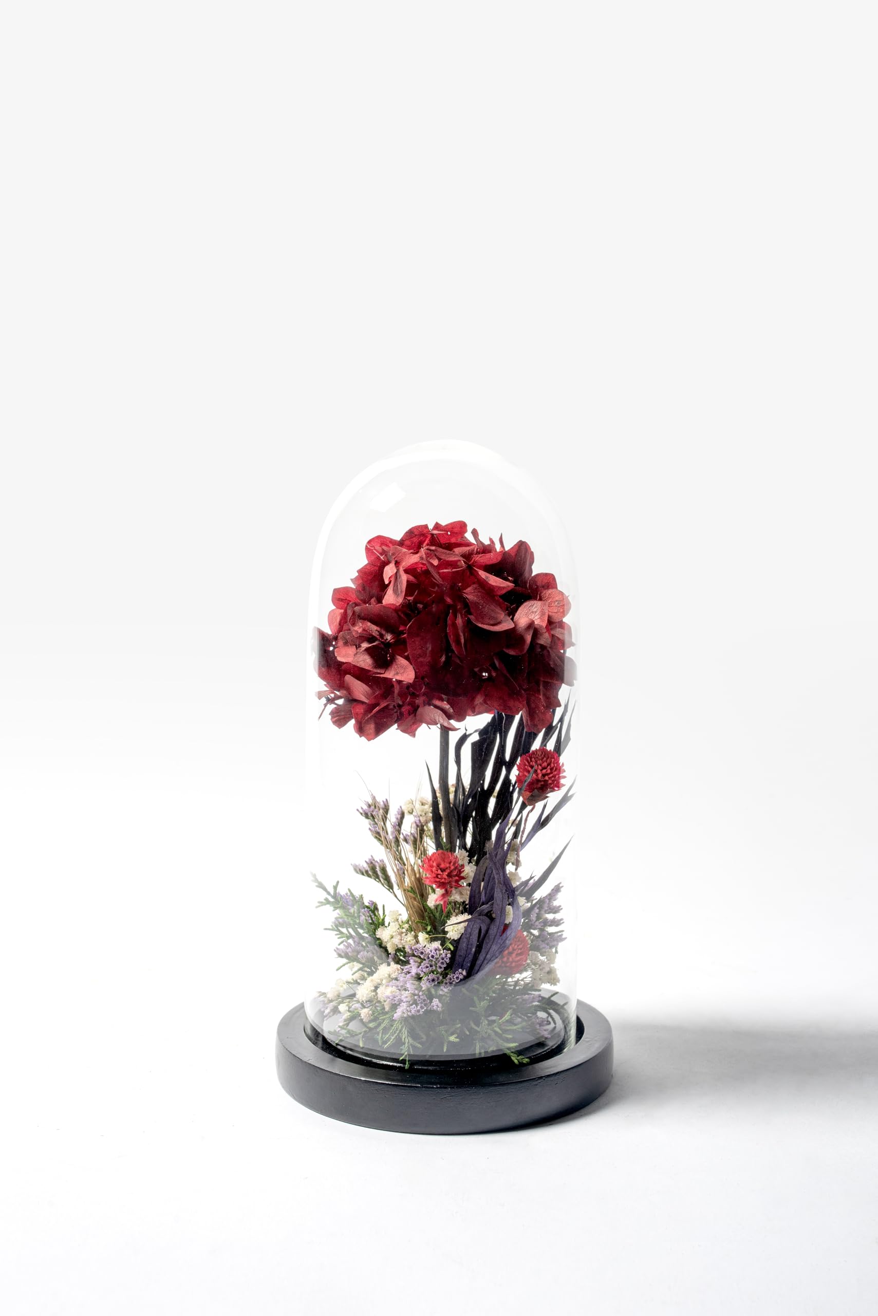 Versailles Preserved Hydrangea in Glass Dome, Multicolor, Home Decor and Interior Decoration, 450 Grams-image-41