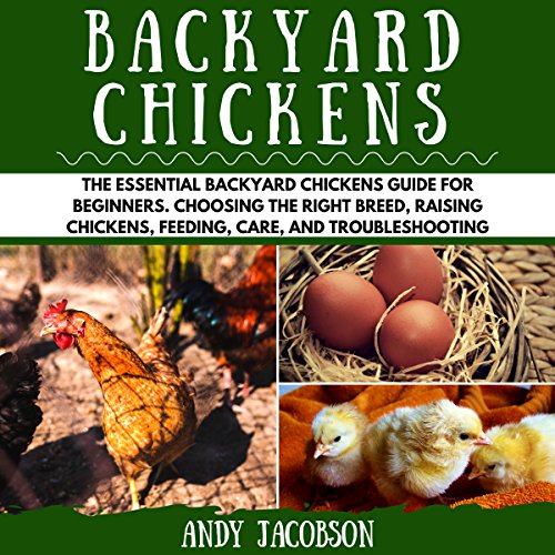 Backyard Chickens The Essential Backyard Chickens Guide for Beginners