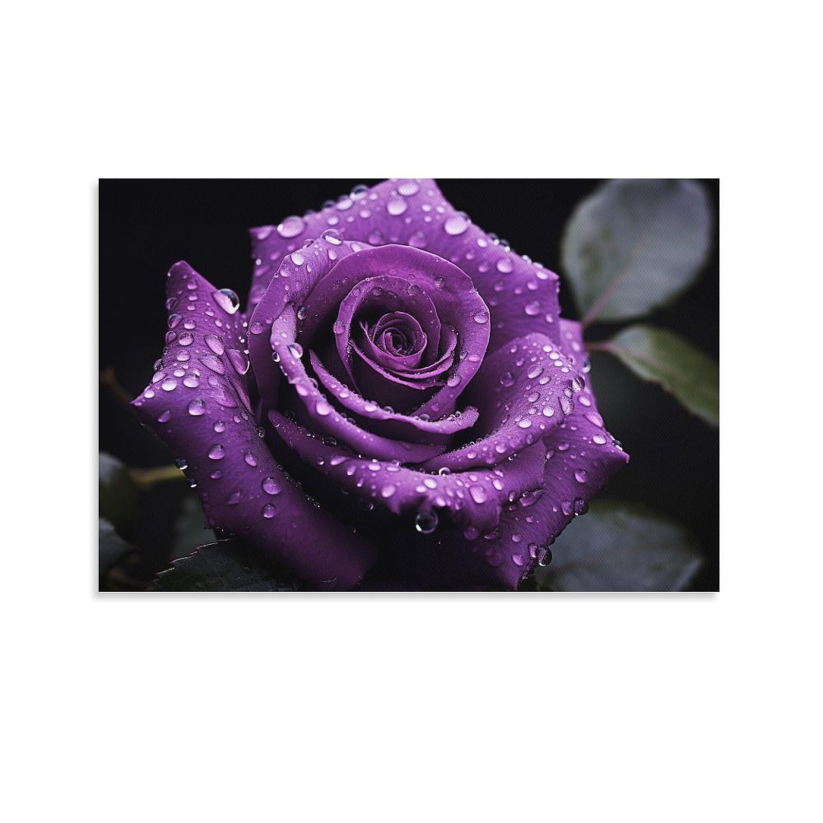 AYAROS Purple Rose Pictures Canvas Wall Art for Bedroom Floral Rustic Classical Flowers Wall Decor Poster for Room Aesthetic Unframed 12x18 inch