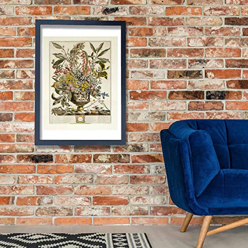 Roberty Furber Grande Affiche d'Archivage Mate Janvier 12 Mois de Fleurs Spiffing Prints - 3