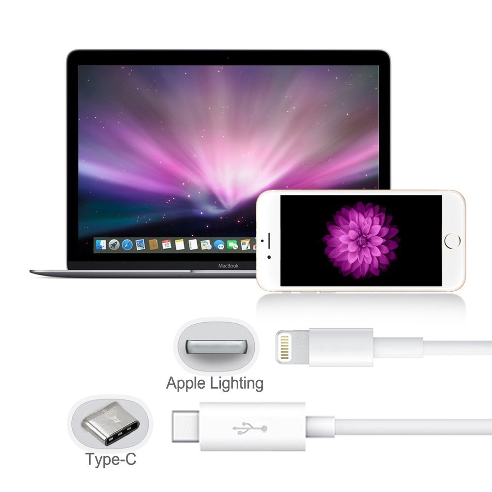 Amazon.com: ienza® USB Type C (USB-C) Male to Lightning 8 Pin Male