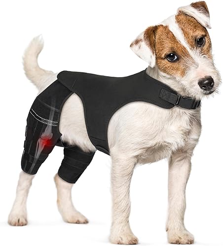 Rodillera de doble pierna para perro para recuperación de desgarros del ligamento cruzado anterior, soporte ortopédico ajustable para estabilidad de