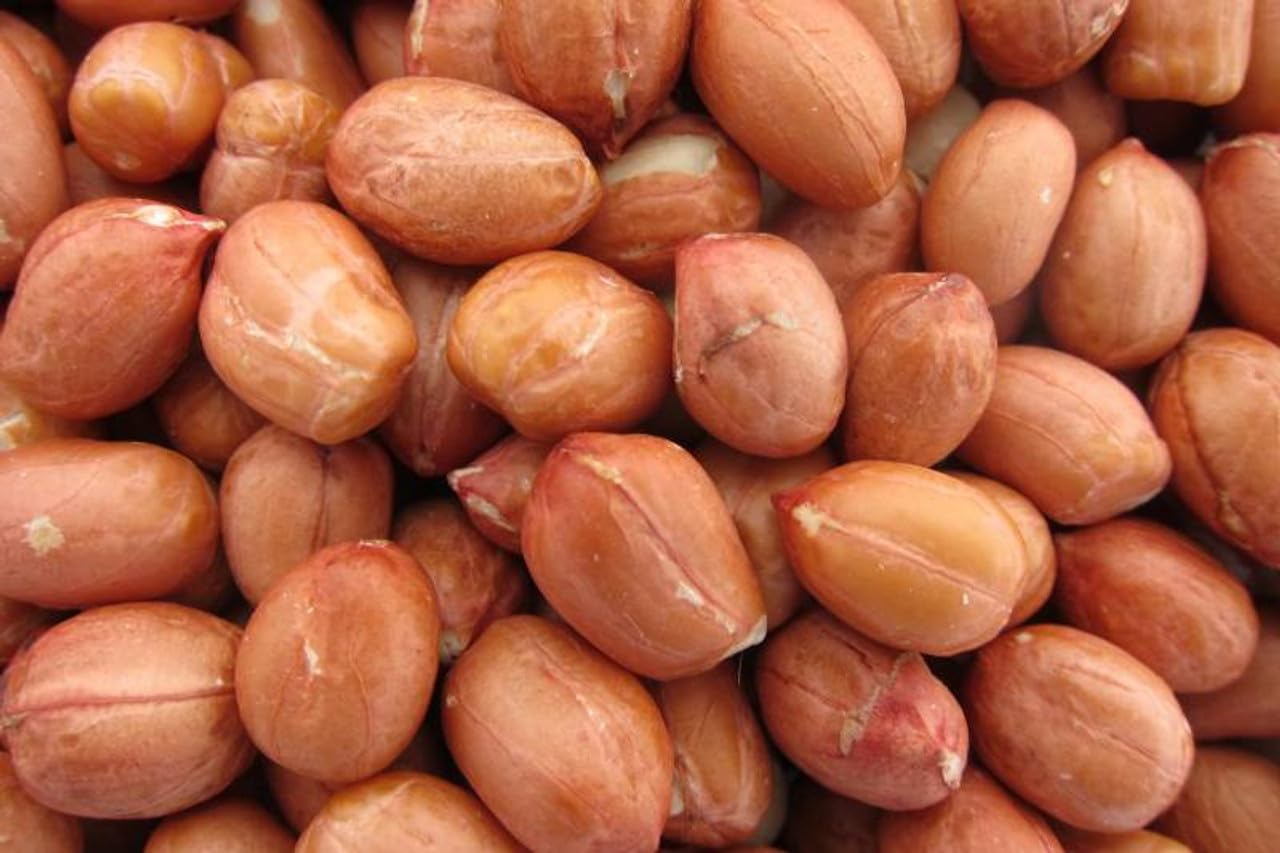 US Snacks Raw Unsalted Red Skin Spanish Peanuts – Fresh & Crunchy, Perfect for Snacking, Cooking & Baking (2 Pound)