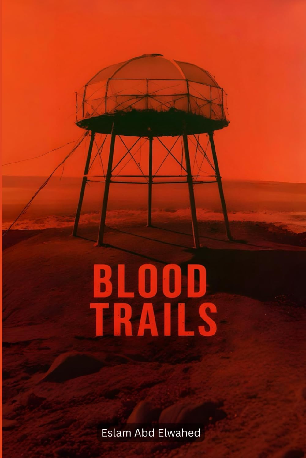 Blood Trails: 100 True Stories of Killers Caught by Mistake (Crime & Mystery)
