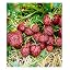 Baldur Garden Strawberry 'Hummi Aroma|Auslese', 3 Plants