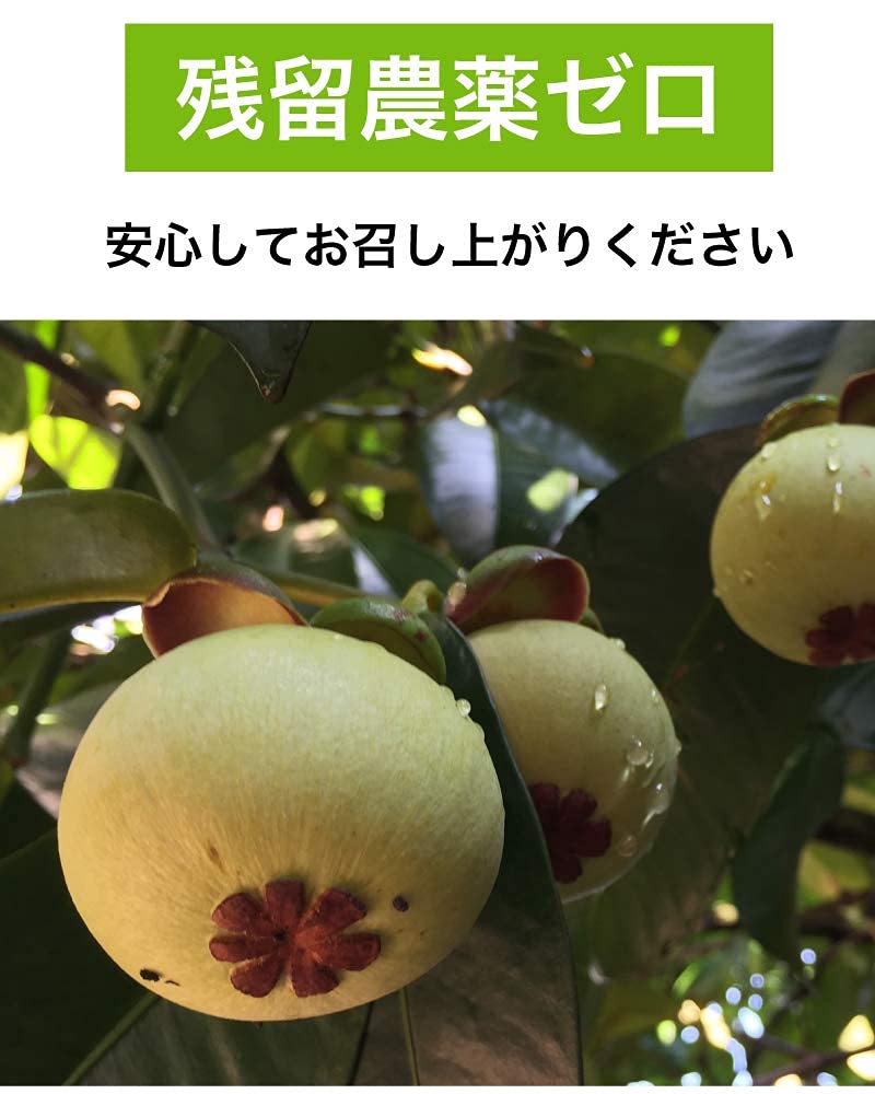 Amazon.co.jp: マンゴスチンタイ産 フレッシュ マンゴスチン 中箱 （約