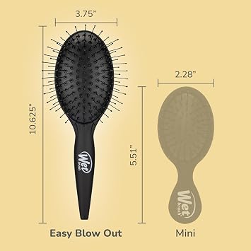 Wet Brush Easy Blowout Brush