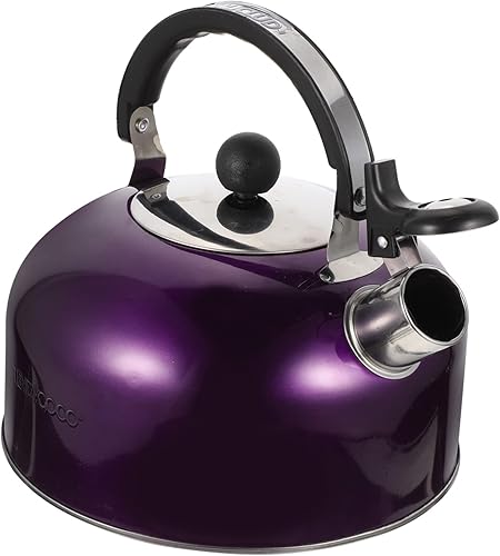 Angoily Hervidor de agua eléctrico de acero inoxidable, tetera, tetera, tetera, tetera, tetera, hervidor de agua eléctrico, tetera para estufa,