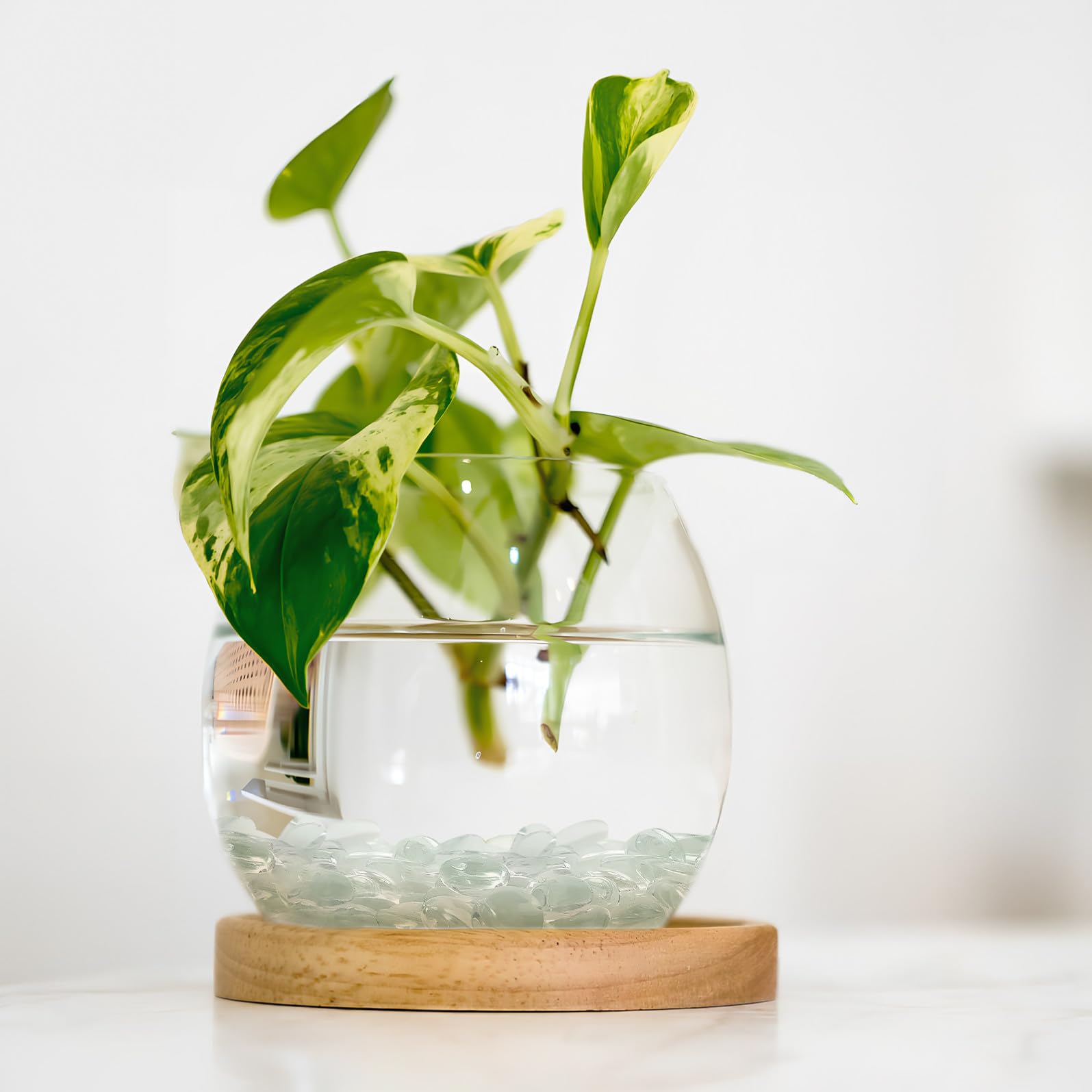 Sosoport Klare Glasmurmeln Flache Vasenfüllsteine aus Glas Transparente Dekomurmeln für Aquarien und Bastelprojekte