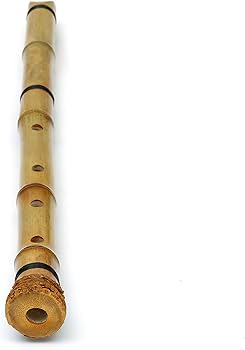 Amazon | Mocoluz 尺八 初心者 セット つゆきり 収納 保護ケース付き