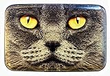 Fig Design Group Grey Cat Face RFID Secure Theft Protection Credit Card Armored Wallet Pet New