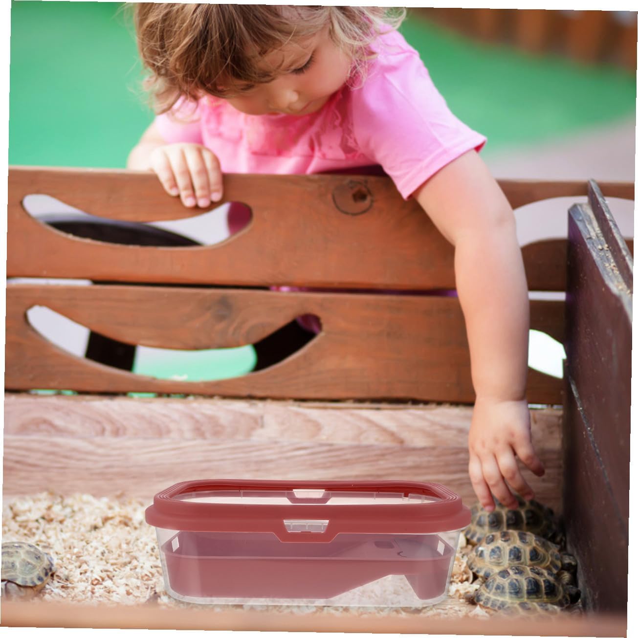 Plastic Turtle Feeding Tank Basking Terrace Reptile Habitat for Tortoise Easy to Clean Non-Slip Ramp for Exercise Suitable for Home Use Pink