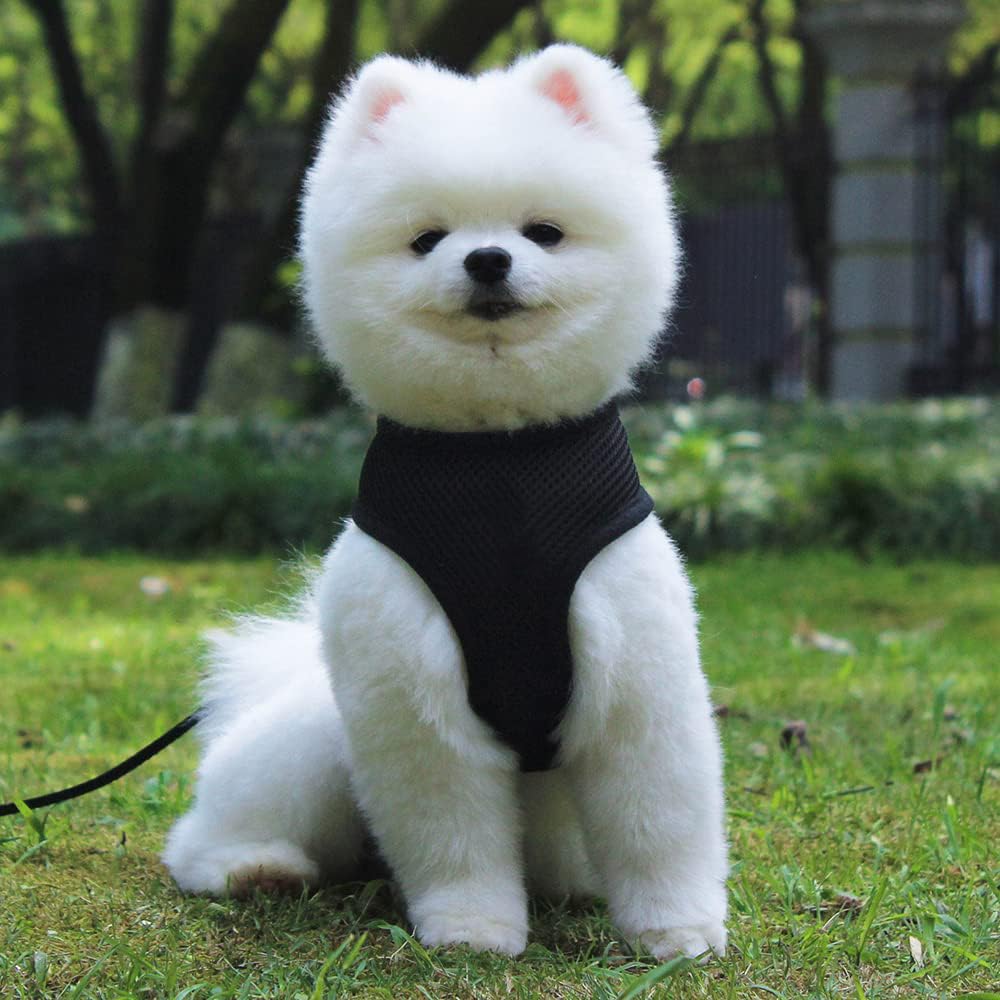 See full amazon price history chart for Homestic Reflective Dog Harness with Adjustable Leash|Breathable Polyester Mesh Fabric with Top Carry Handle|Medium Size|HAT-818|Comfortable No-Pull Grip|Quick Release Buckles|Black Homestic Reflective Dog Harness with Adjustable Leash|Breathable Polyester Mesh Fabric with Top Carry Handle|Medium Size|HAT-818|Comfortable No-Pull Grip|Quick Release Buckles|Black (B0CTQWSC52) Amazon Price History, Amazon Price Tracker
