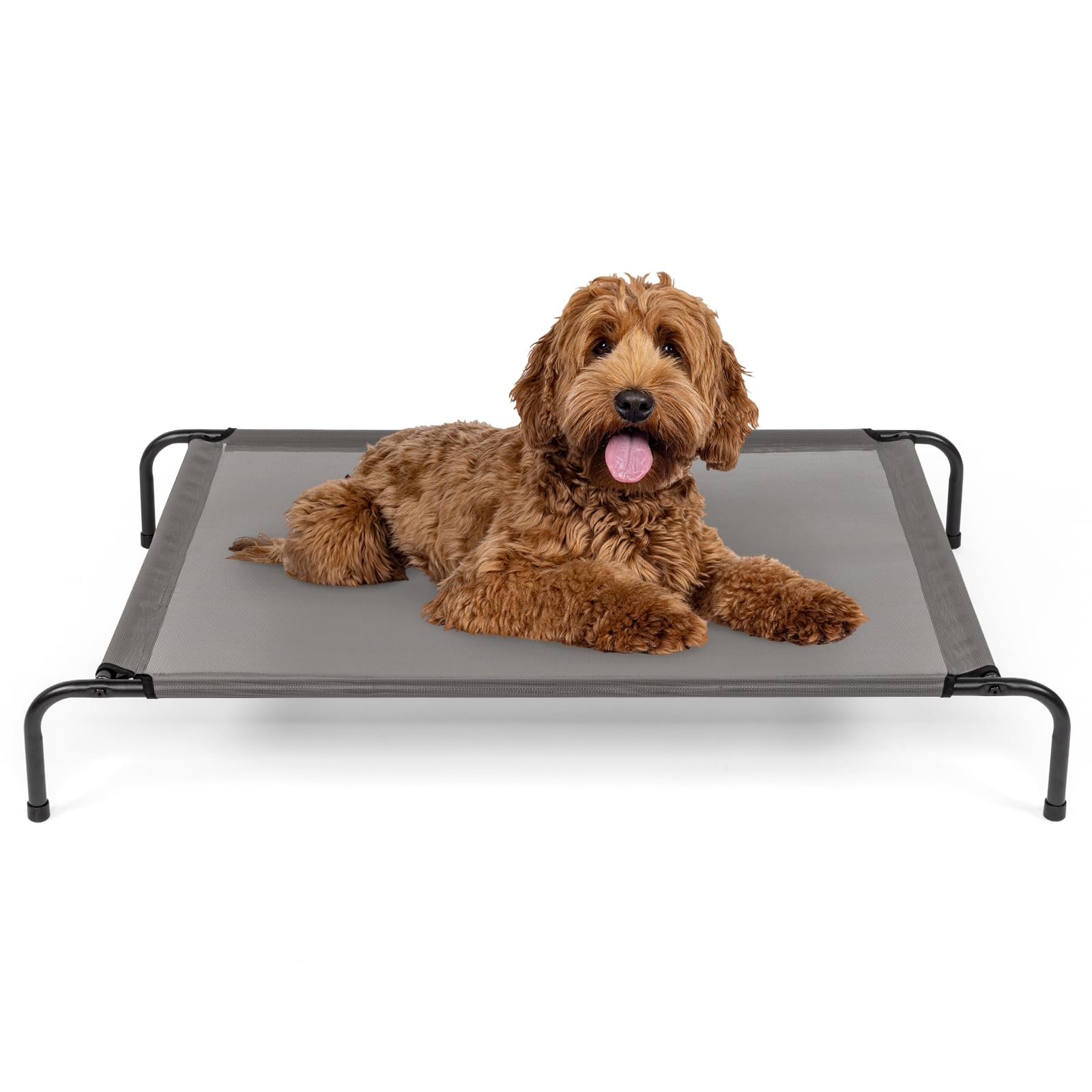 43 Inch Elevated Raised Cooling Pet Dog Cots Bed Durable Outside Dog Cots Bed Portable Raised Outdoor Dog