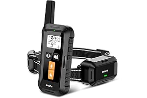 Qcollar Dog Shock Collar with Remote - Train Your Best Friend Effectively