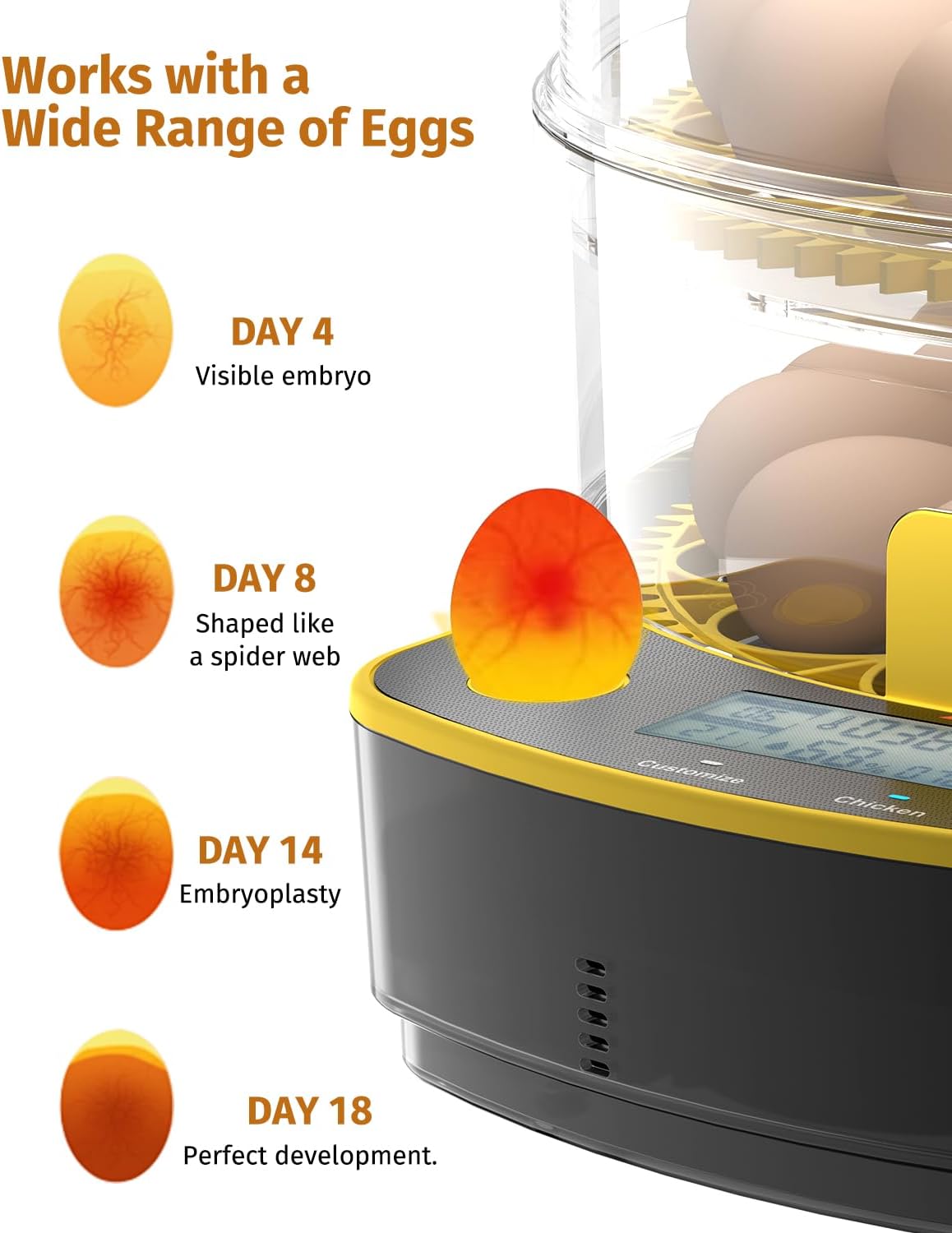 Egg Incubators for Hatching Eggs, Double-Layer 48 Egg Incubator with Temperature and Humidity Control, Egg Candler, Automatic Egg Turner, Clear Window Incubator for Chicks Duck Quail Eggs