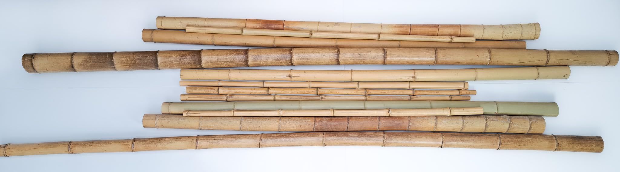 Poppe-Portal 10 Bamboo Canes 30-40 mm Diameter 1.95 m : Amazon.de: Garden