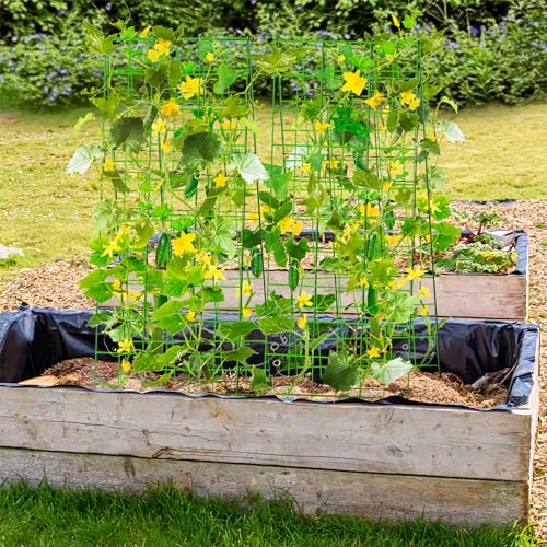 Pack-2-Heavy-Metal-Garden-Trellis-for-Climbing-Plants-with-Trellis-Netting-Garden-ClipsCucumber-Trellis-for-Climbing-Plants-Outdoor-MetalA-Frame-Cucumber-Trellis-for-Raised-Bed-Pack-2 Pack 2 Heavy Metal Garden Trellis for Climbing Plants with Trellis Netting Garden ClipsCucumber Trellis for Climbing Plants Outdoor MetalA Frame Cucumber Trellis for Raised Bed Pack 2