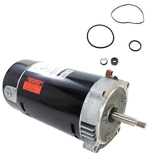Puri Tech Hayward Super II 1HP SP3010EEAZ Kit de motor de repuesto AO Smith ST1102 con GO-KIT-2