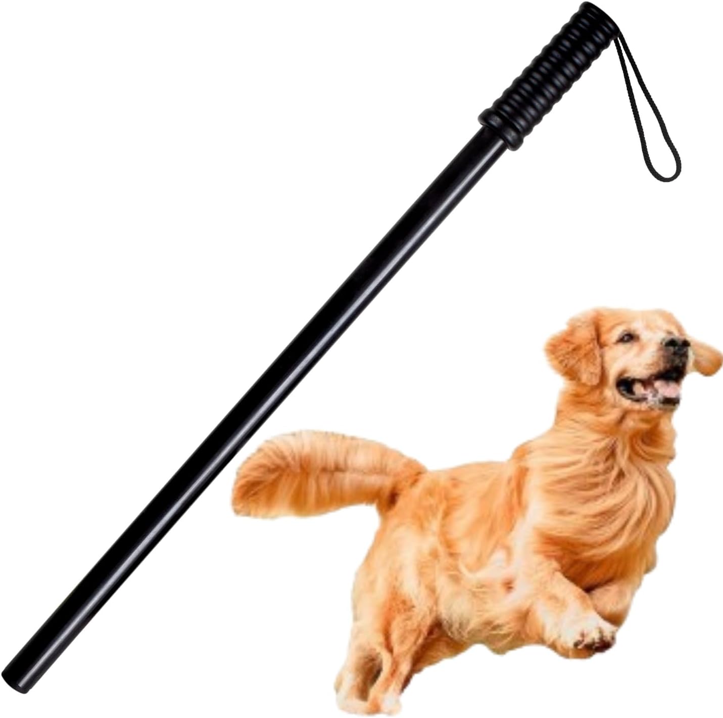 FAB TECH Dog Training Plastic Stick | Easy to Use | Length: 60 cm/1.9 Feet | Used for Training and Walking, Keeps You and Your Pet Safe from Stray Animals