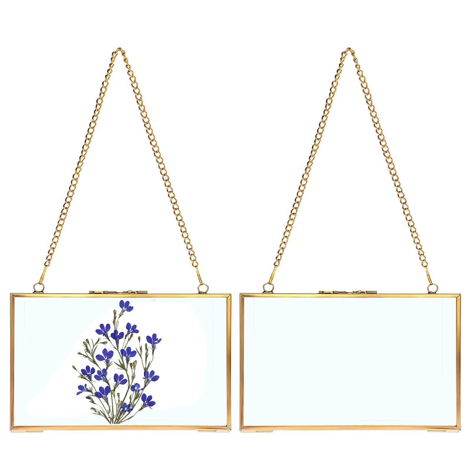 Juxyes Horizontal Set Of 2 Wall Hanging Brass Frames For Pressed Flowers, Double Glass Hanging Picture Artwork Display Frame, Gold Floating Style Gallery Wall Frame For Photo Picture Poster Etc, 5X7 Inches