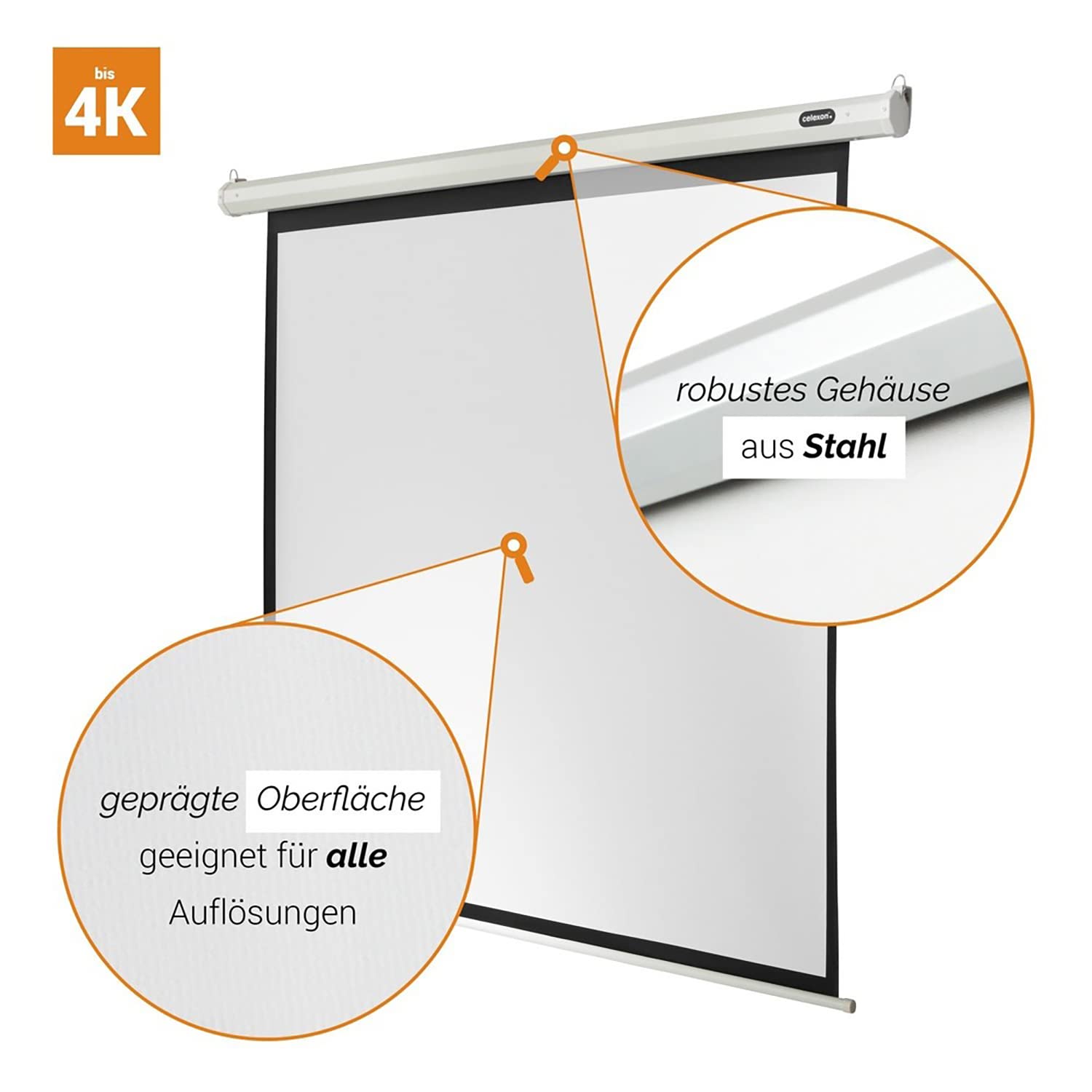 Celexon ELECTRIC ECONOMY, Schermo motorizzato adatto per tutti i tipi di proiezione, fattore Gain di 1,2, formato 1:1, 180 x 180 cm, bianco