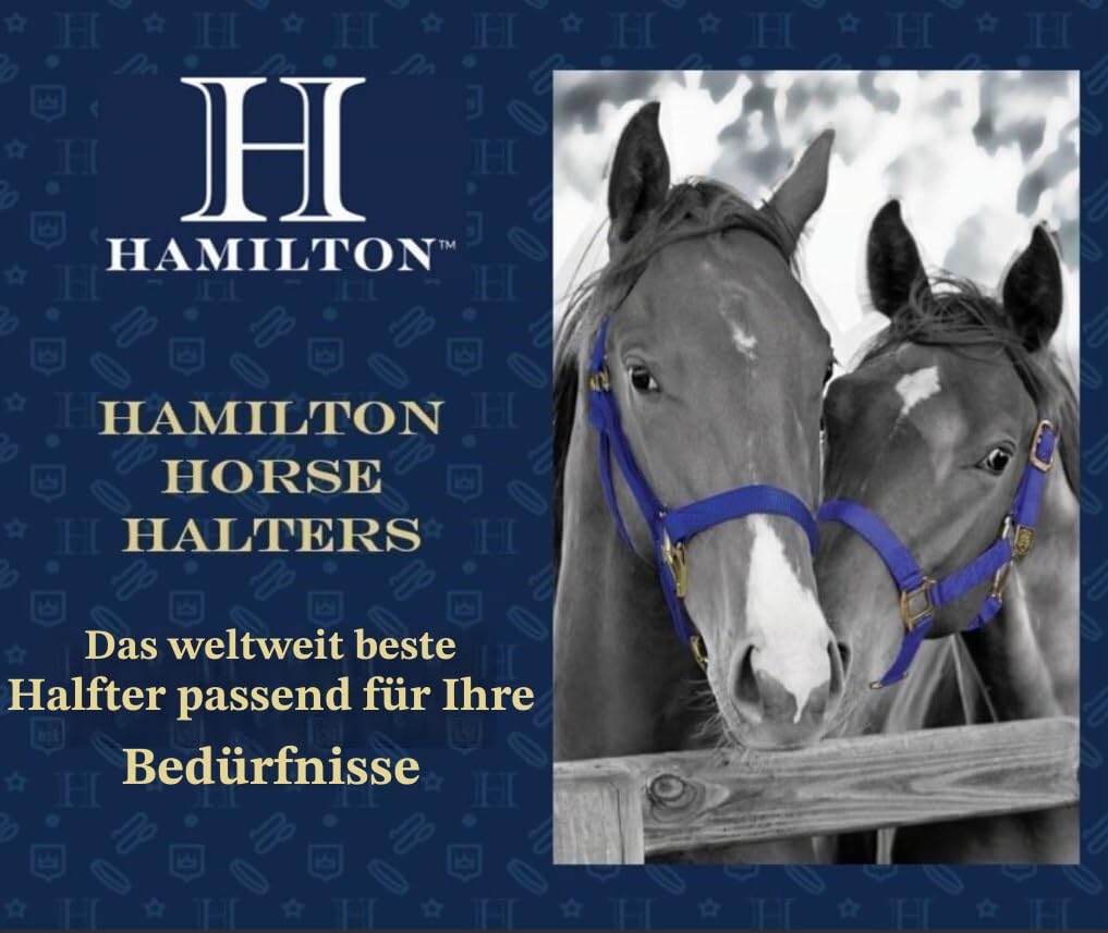 Hamilton Nylon-Halfter mit verstellbarem Kinn, 2,5 cm, Average, 800-1100 Pounds, Marineblau