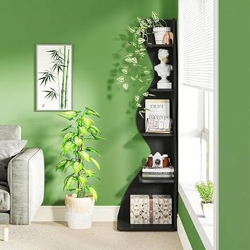 Shelf Book/Storage Cabinet (Black)