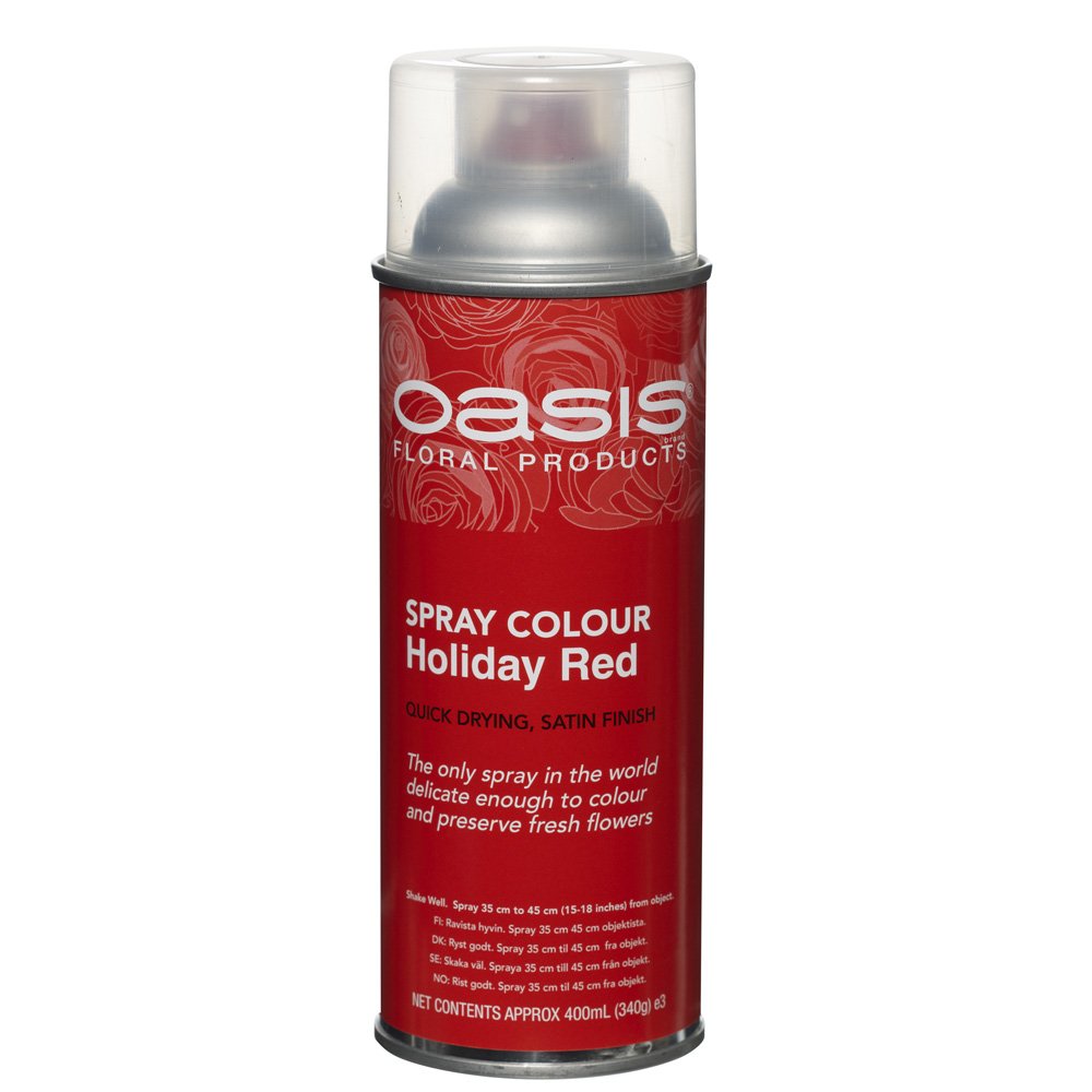 東京堂(Tokyodo) Red Floral Spray Paint 400Ml Holiday Fresh Flowers / Foliage / Containers / Dried Materials