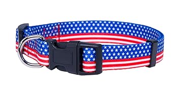 American Flag Dog Collar (Large, Flag II)