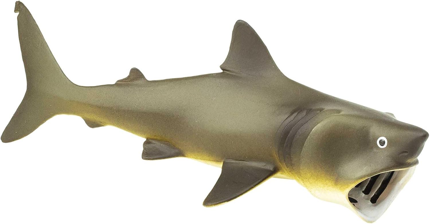 Safari Ltd. Basking Shark Figurine - Detailed 5.75" Plastic Model Figure - Fun Educational Play Toy for Boys, Girls & Kids Ages 3+