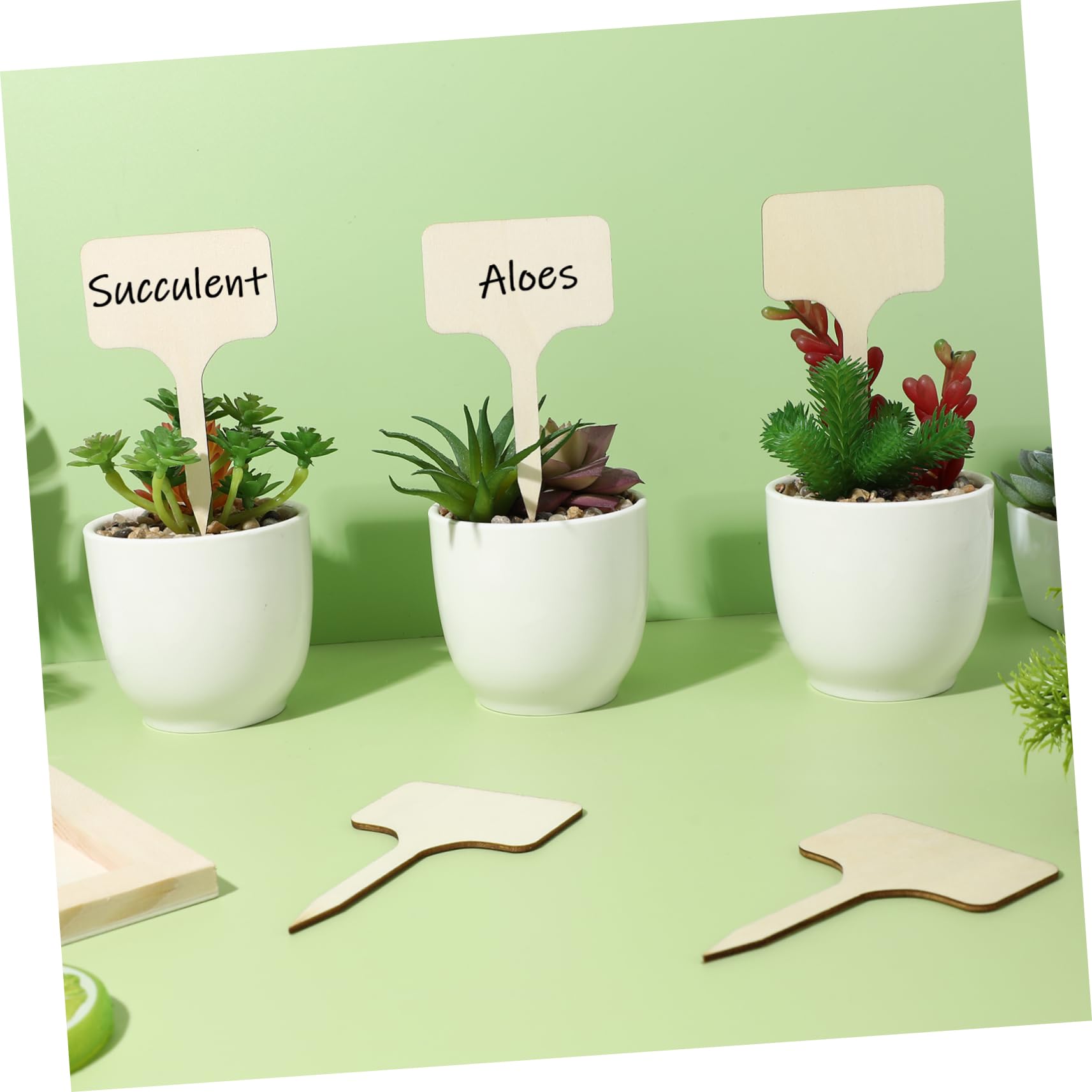 YARNOW 250pièces Étiquettes De Plantes Marqueurs De Jardin Étiquettes Pour Et Fleurs Accessoires De Jardinage Pratiques