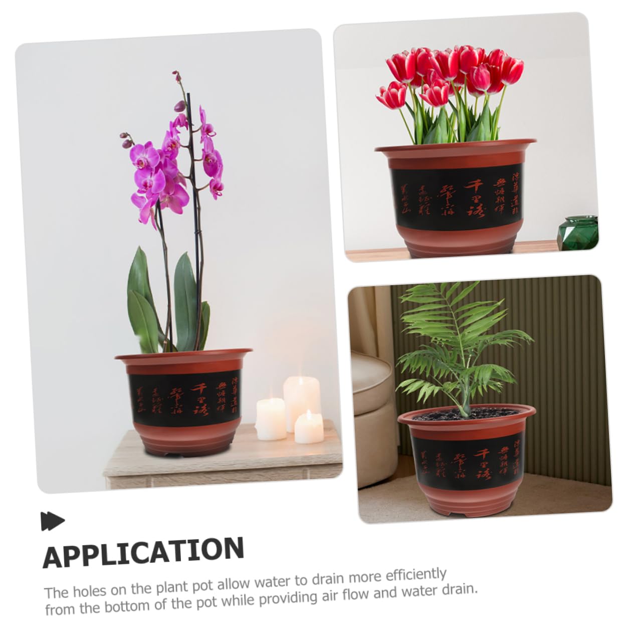 2pièces Pots à Orchidées Plastique Contenants De Fleurs pour Plantes Succulentes Et Cactus Parfait pour Décoration Intérieure Et Extérieure