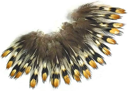 Miniatura 4 de 10 piezas – Mini oro natural ojo de gallo de la selva suelta pluma suelta atado mosca suministro de manualidades | Pluma de luz de luna