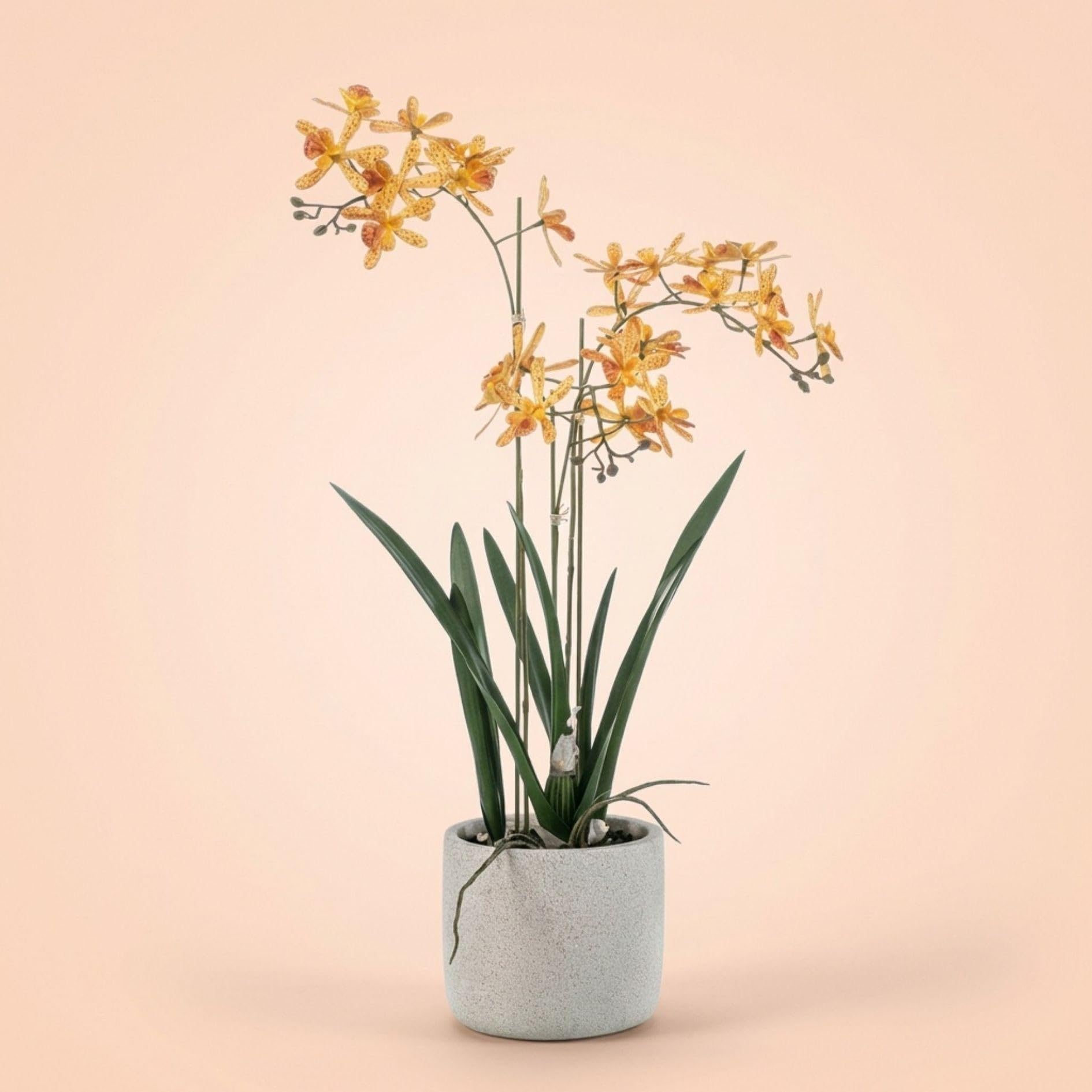 Renanthera sztuczna orchidea 56 cm w doniczce – żółta pomarańczowa roślina kwitnąca sztuczna roślina w szarej doniczce – realistyczna dekoracja storczyków, bez pielęgnacji, piękna przez cały rok