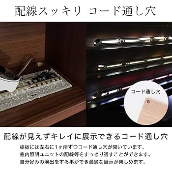 激レア●TOMIX●アクリル製ディスプレイケース●5段●20m級6両編成OK！ Amazon.co.jp: (JAJAN) Nゲージ HOゲージ 対応 【 連結可能 鉄道