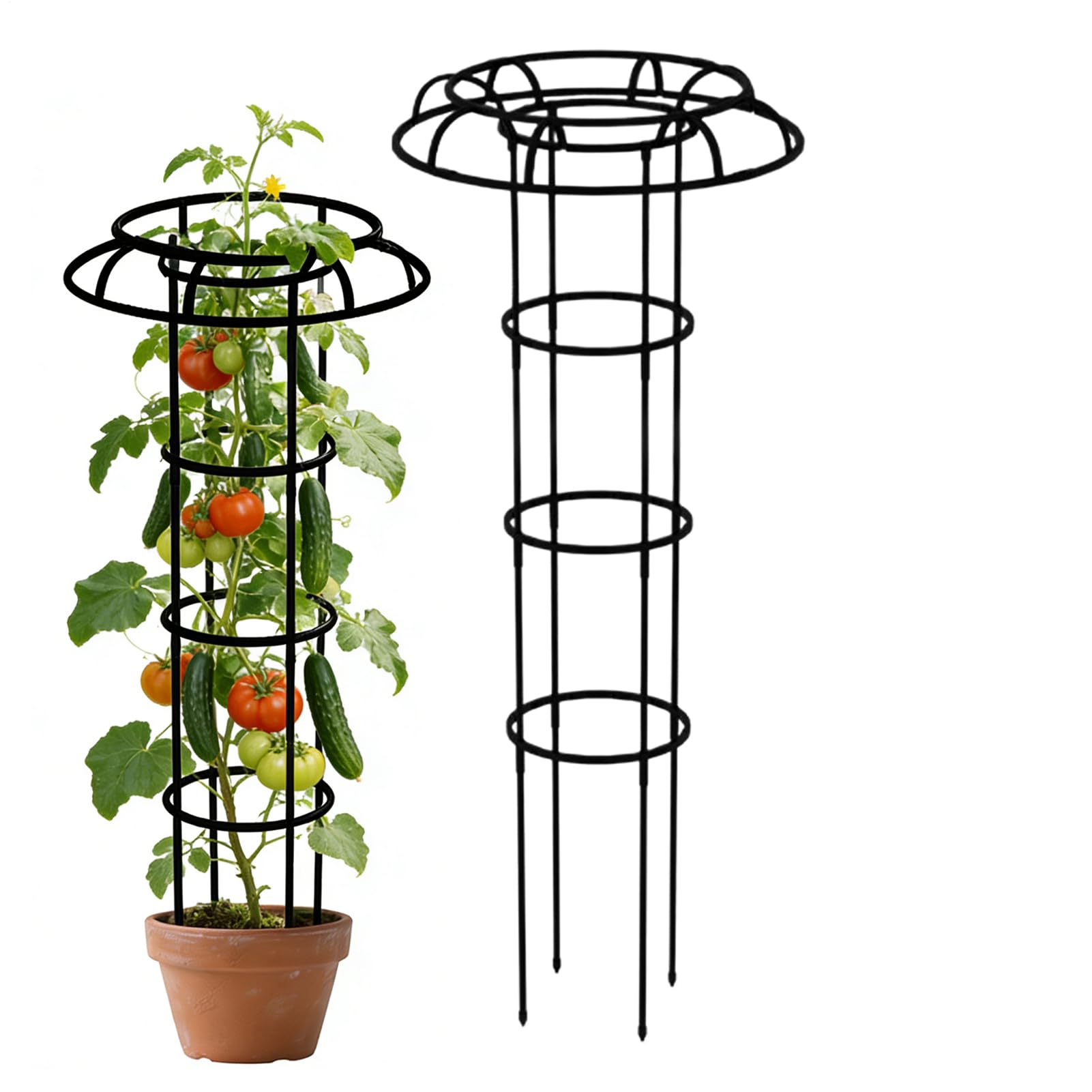 Treillis pour grimpantes en parapluie vertical pour tomates et balcon