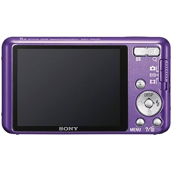 Buy Sony Cyber-Shot DSC-W630 16.1MP Point and Shoot Point