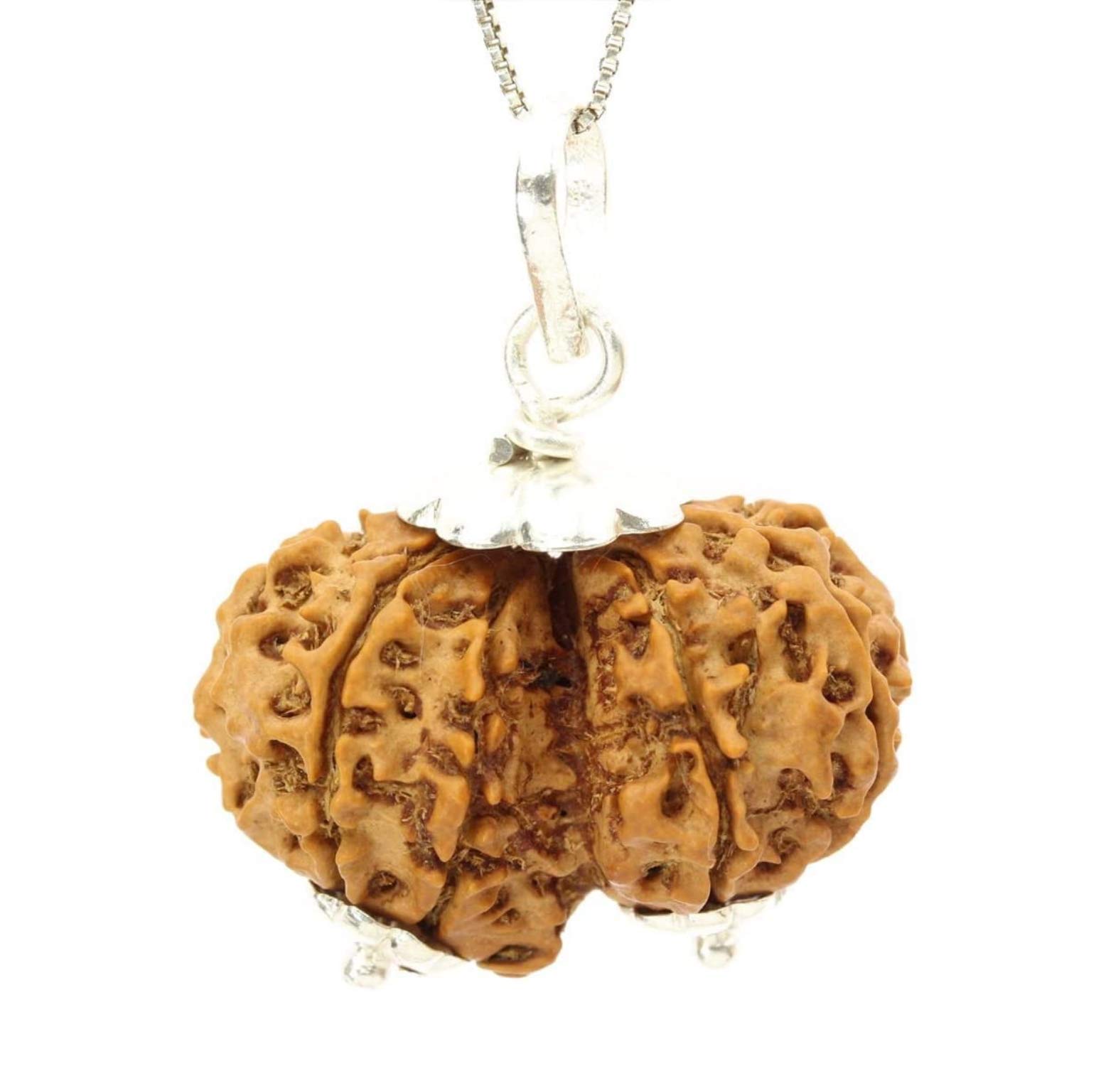 ✰︎‪ 琥珀 ✰ ✰︎　ルドラクシャマーラー　トップガウリシャンカラ　④ Amazon｜SitaRama ガウリーシャンカラ・ルドラークシャ・ビーズ