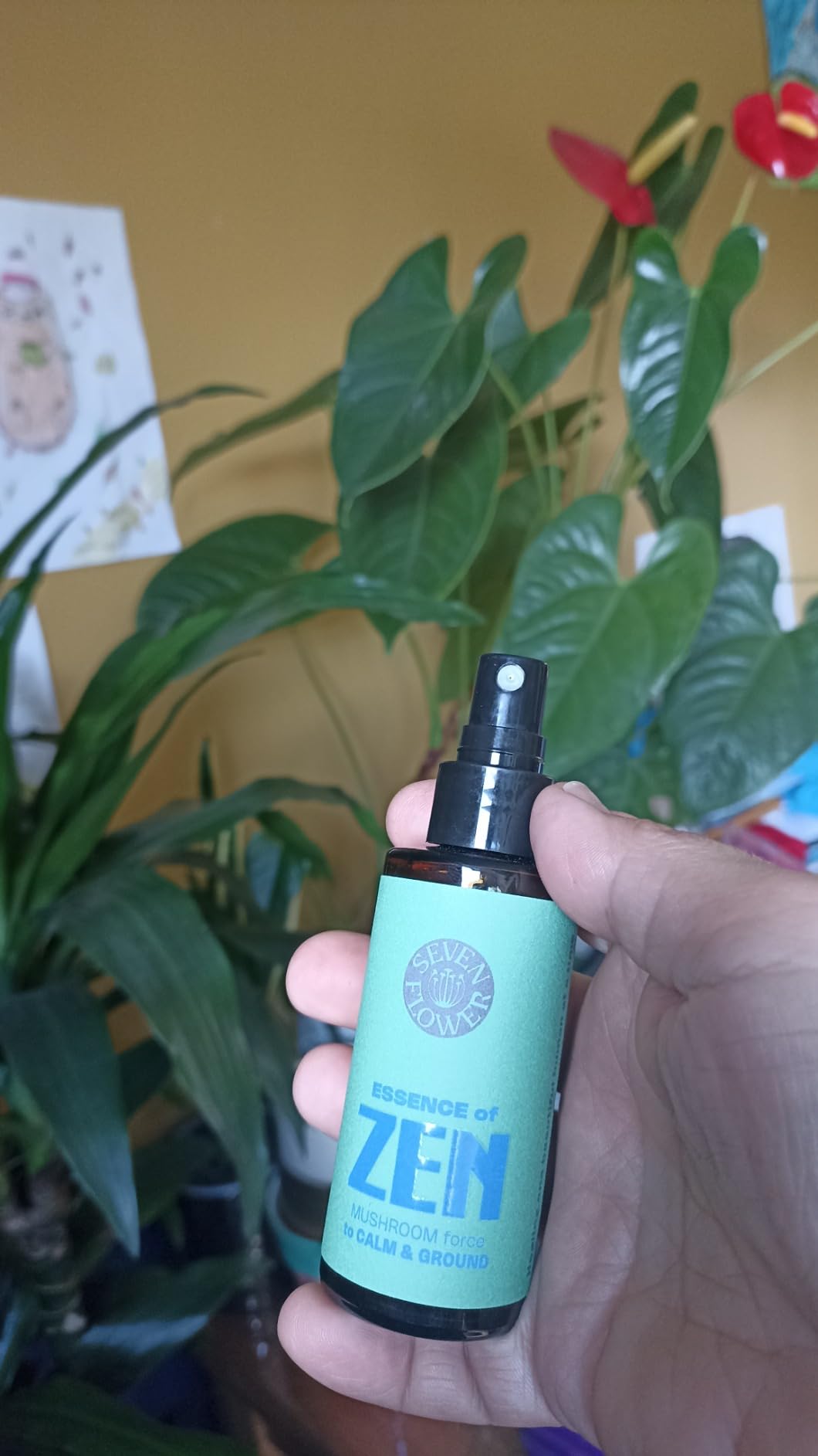 SEVEN FLOWER Essence of Zen Reishi Mushroom Oral Spray, Organic ADHD Supplement to Improve