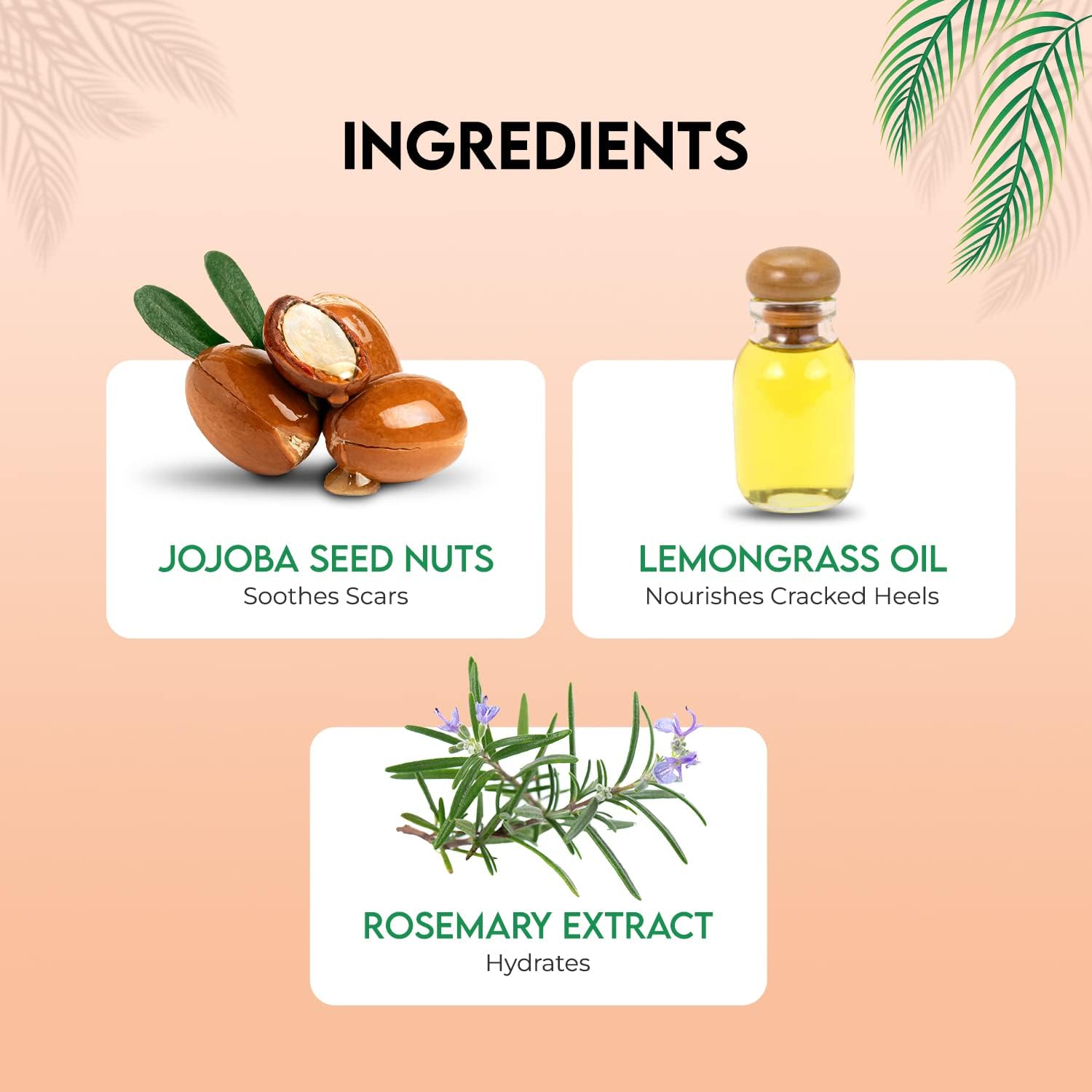 Jovees Herbal Foot Care Cream & Scrub For Rough, Dry and Cracked Heel | 2-in-1 Formula For Moisturizes | Feet Cream For Heel Repair With Jojoba & Sesame | Suits both Men/Women 100g 3 613pbsRdfTL. SL1500