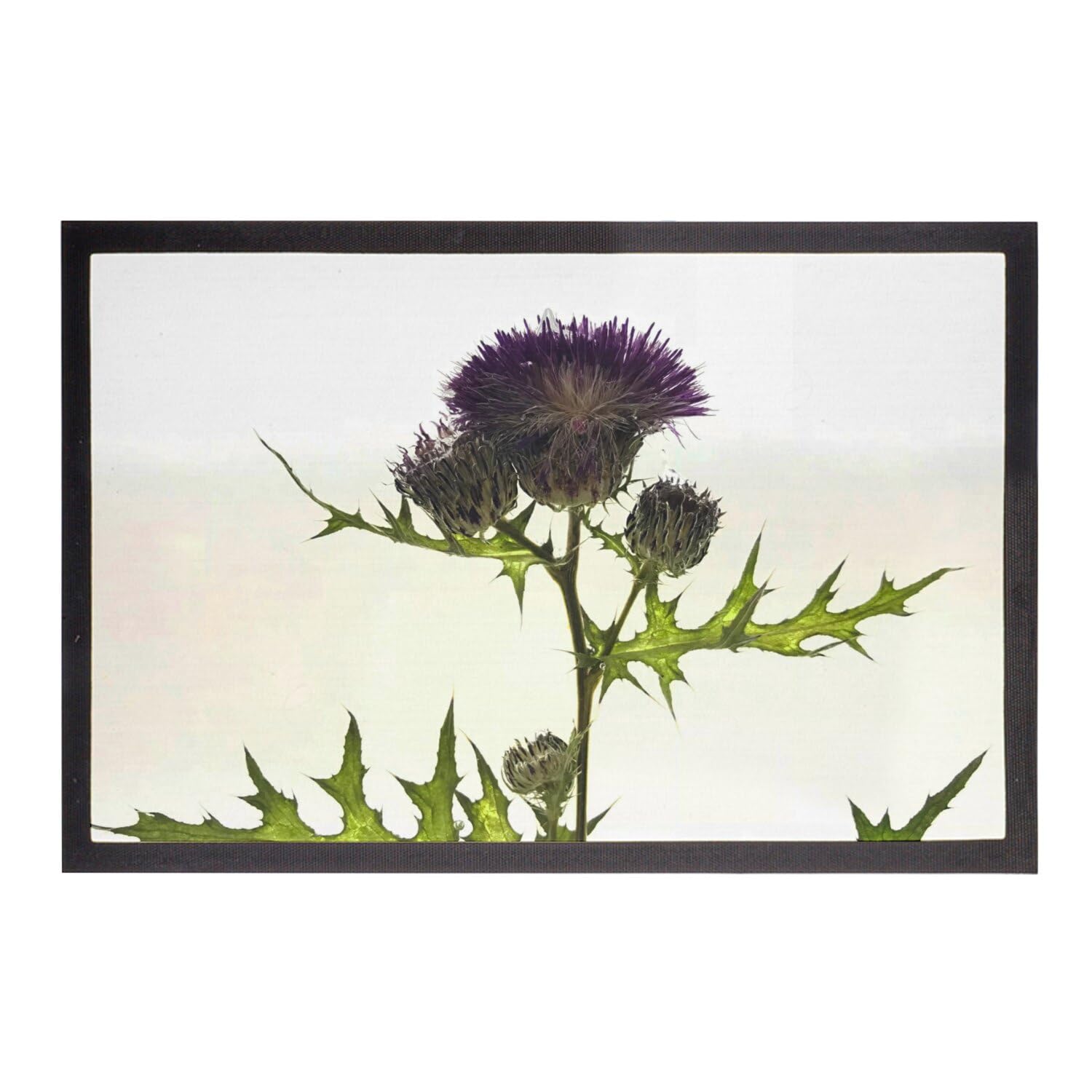 Paillasson Chardon Violet pour une Entrée Nature et Chaleureuse