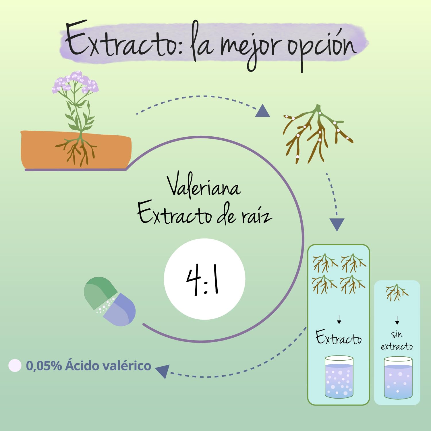 Valeriana BIO 2000 mg Vegavero® | Extracto Valeriana Officinalis | SIN ADDITIVOS | Favorece Relajación y Sueño | Contra Estrés y Mal Humor | 90 Cápsulas