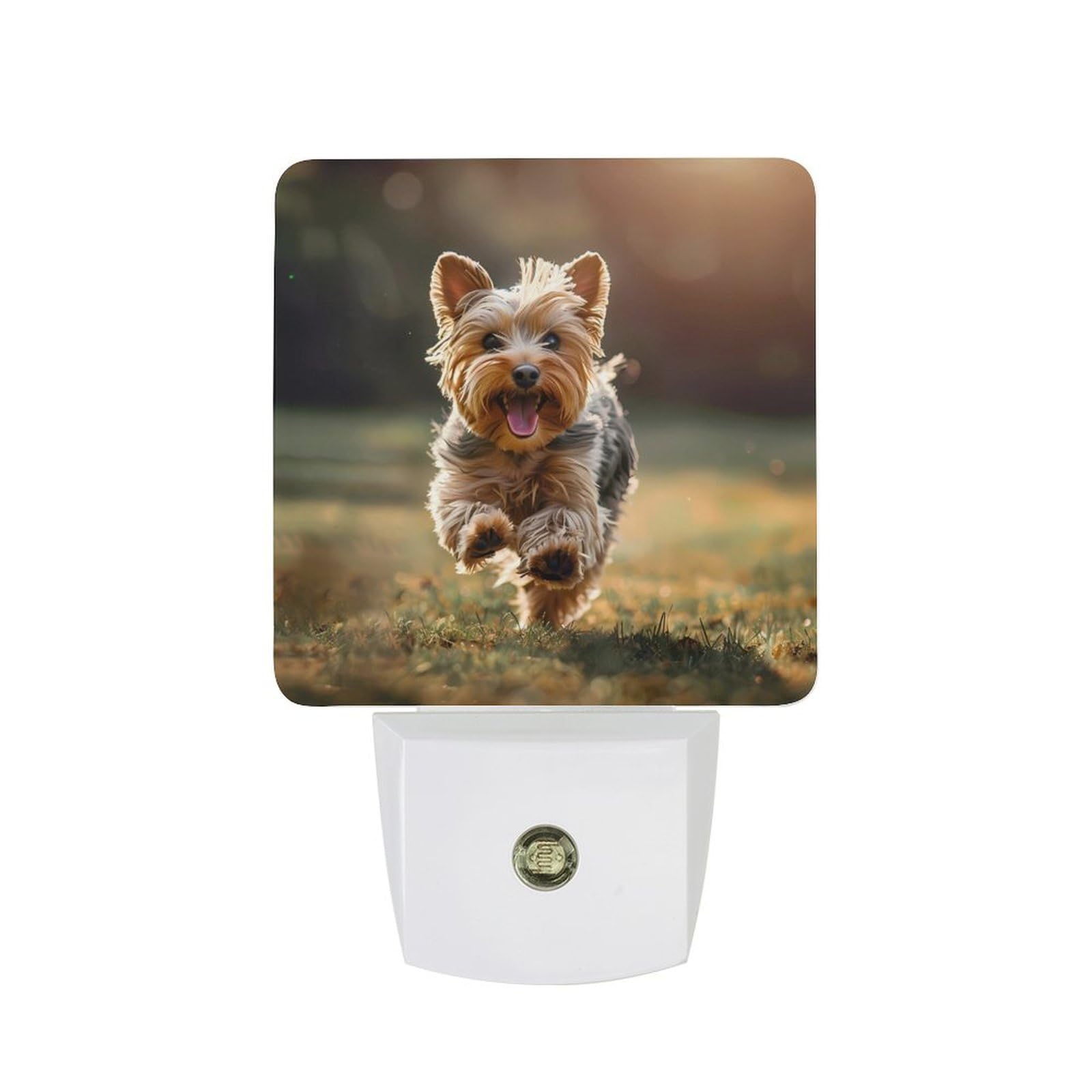 Cute Yorkshire Terrier Dog LED Night Light Plug in Night Light with Dusk to Dawn Sensor for Bedroom, Bathroom, Hallway 11.5x7.5x5cm