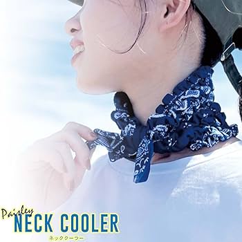Amazon｜現代百貨 PAISLEY ネッククーラー BK サイズ：約W11.5 D10 H2
