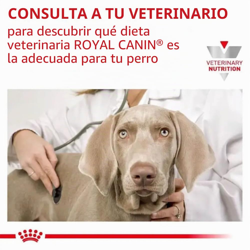 Royal Canin Alimento para Perros Gastro Intestinal Low Fat LF22-12 kg