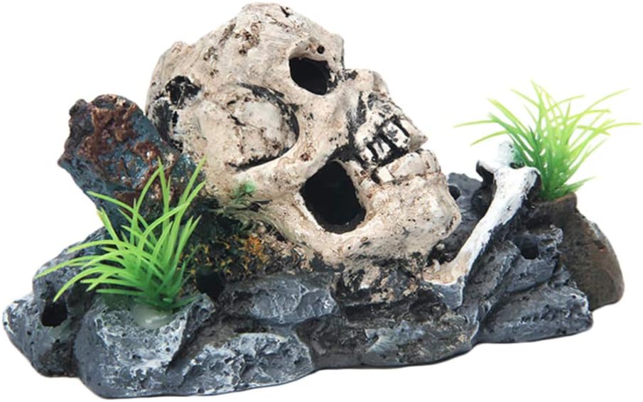 rocce per acquario betta